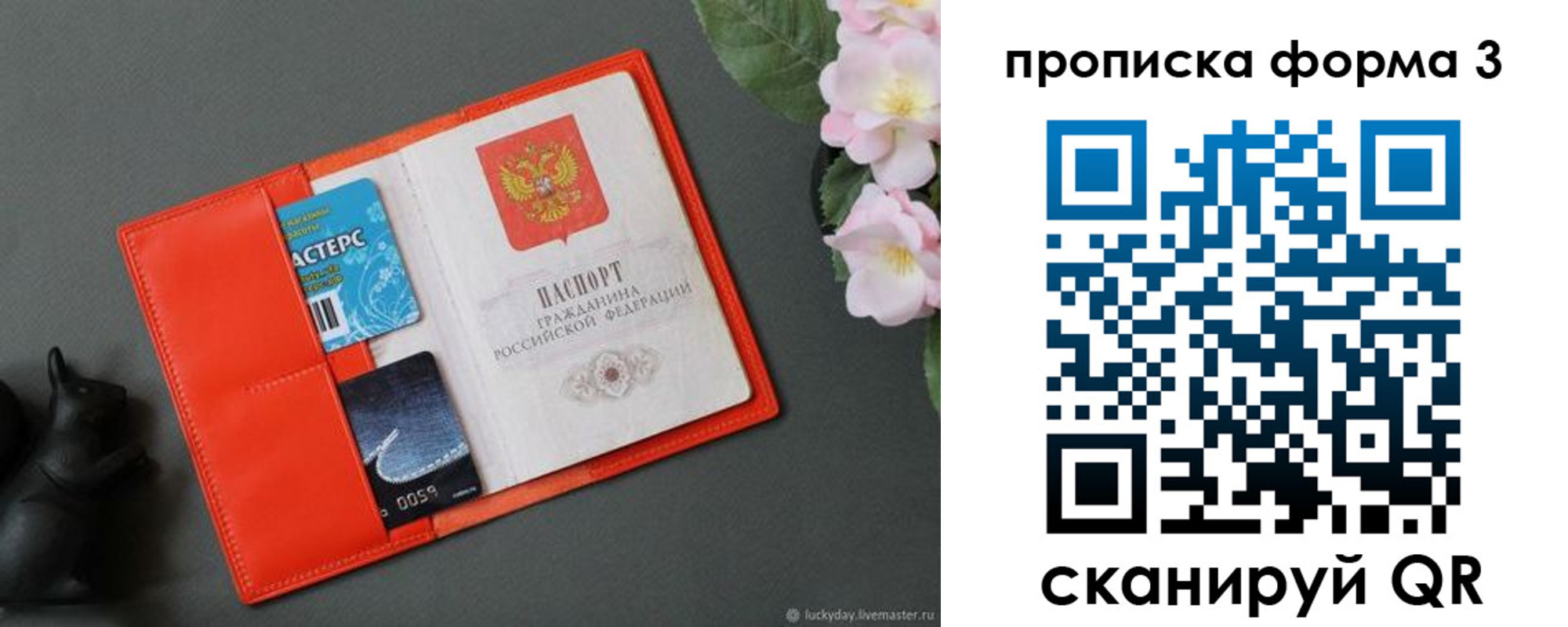где прописаться в Гатчине